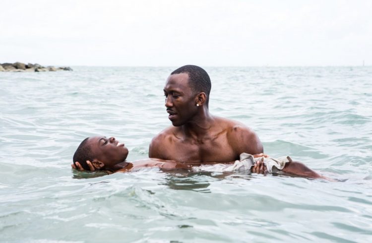 Spellbinding New Moonlight UK Trailer Released