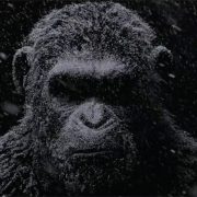 Towering War For The Planet Of The Apes Theatrical Trailer Arrives