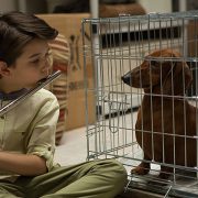 Wiener Dog (2016) DVD Review