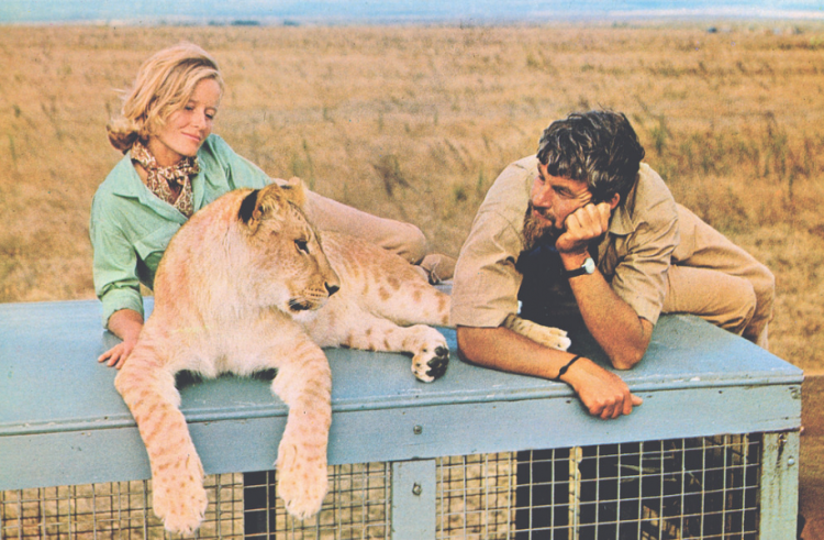 Born Free Set For Eureka Entertainment Blu-Ray Release