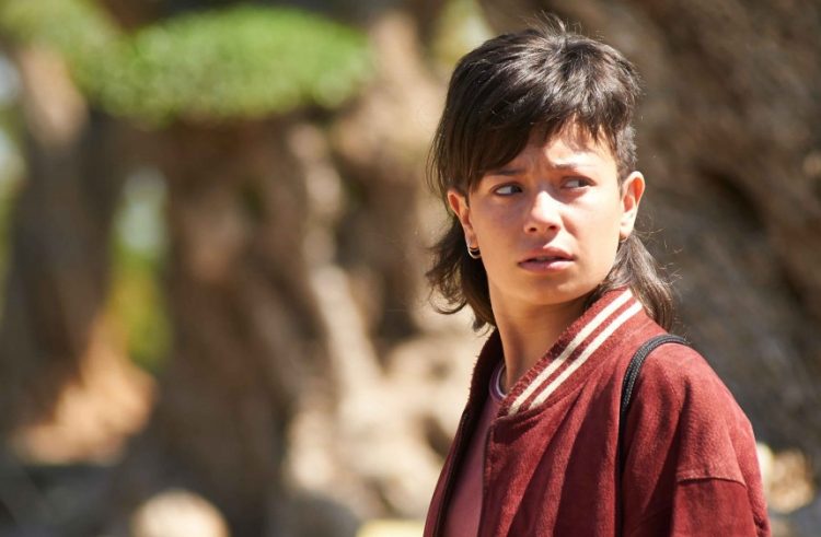 The Olive Tree Home Entertainment Release Details
