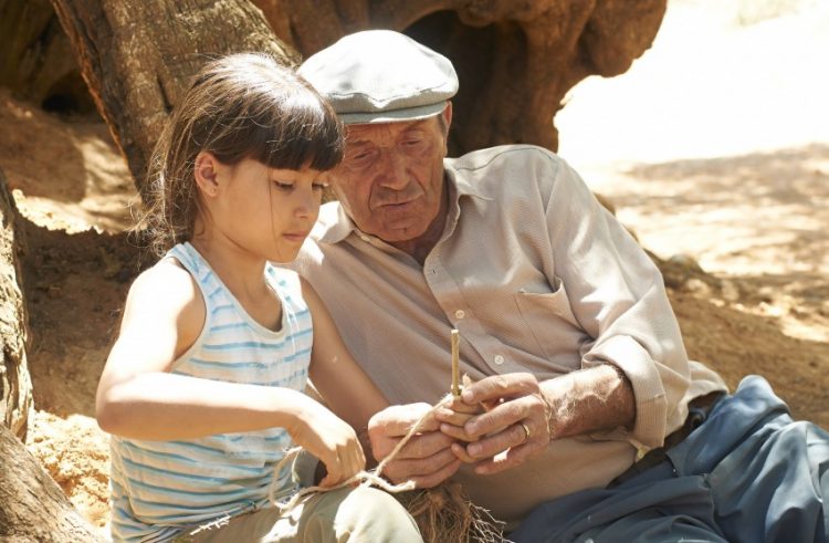 The Olive Tree (2017) Review