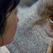 Cannes 2017: Okja Review