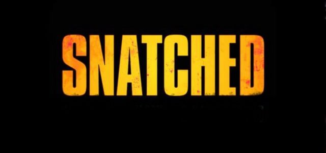 Snatched (2017) Review
