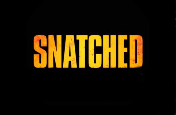 Snatched (2017) Review