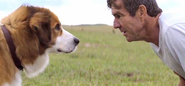 A Dog’s Purpose Home Entertainment Release Details