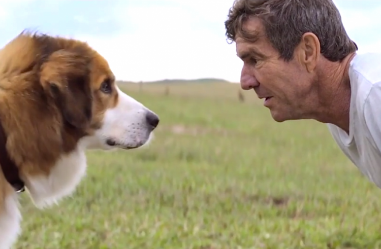 A Dog’s Purpose Home Entertainment Release Details