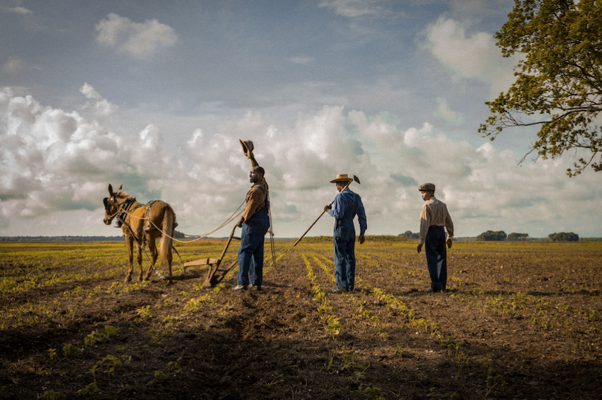 First Trailer Released For Mudbound Starring Carey Mulligan
