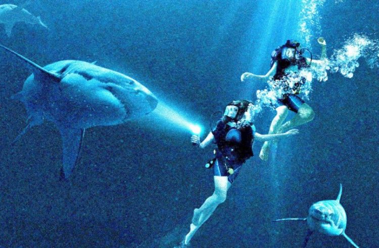 47 Metres Down Home Entertainment Release Details