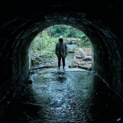 Ghost Stories Teasers Arrive In Time For Halloween!