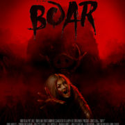 10 Questions with Chris Sun, Director of BOAR