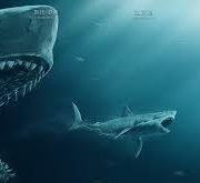 Movie Review: The Meg