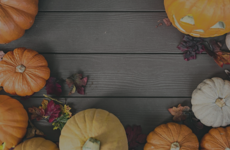 Halloween – YouTube Reveals Halloween 2018 Most Popular Trailer & Frozen’s Elsa Costume is Top of Costume Trends
