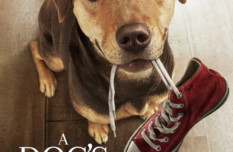 Brand New Trailer And Poster For A DOG’S WAY HOME Released