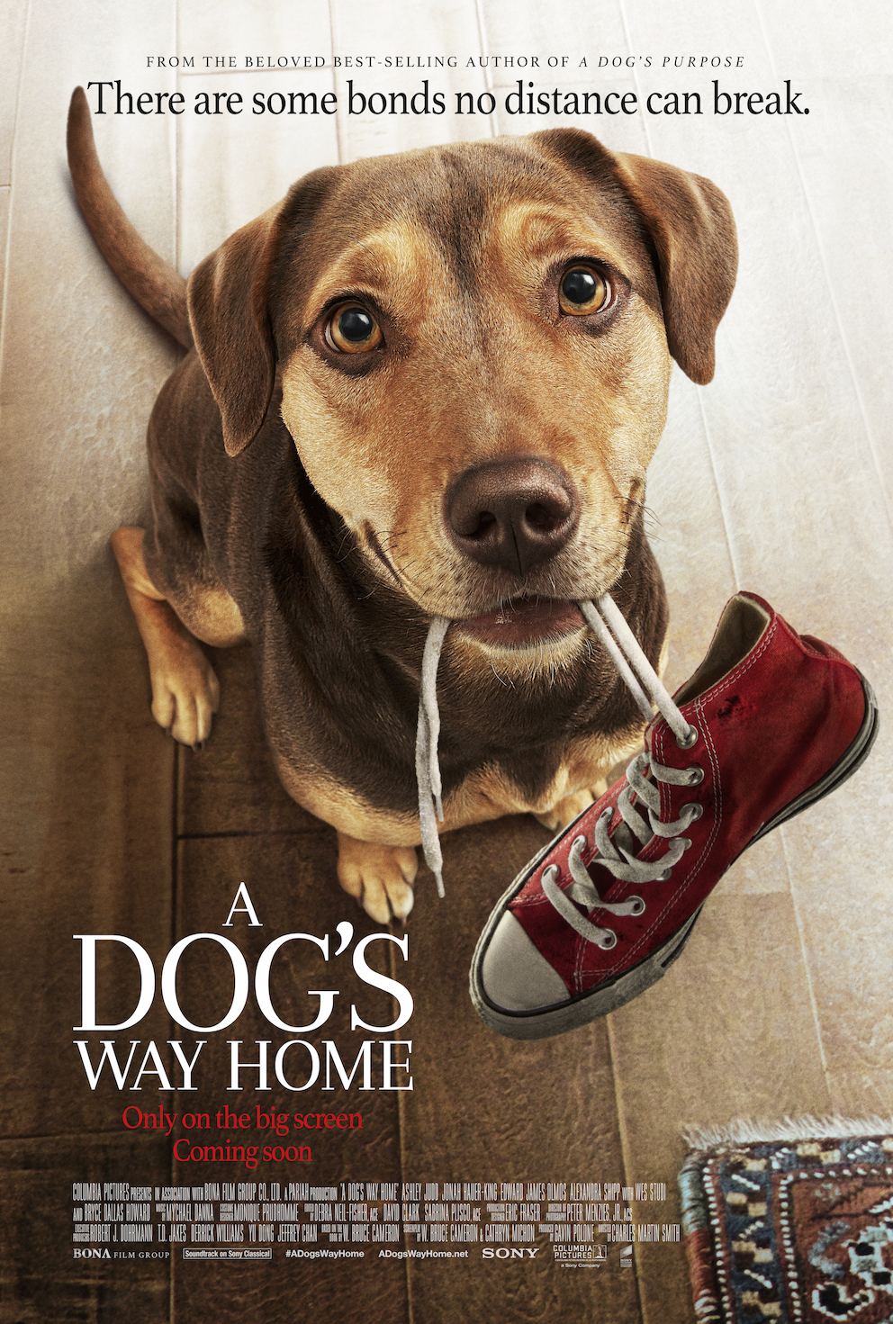 A Dog's Way Home By W. Bruce Cameron – Hardcover Book (Good Condition)