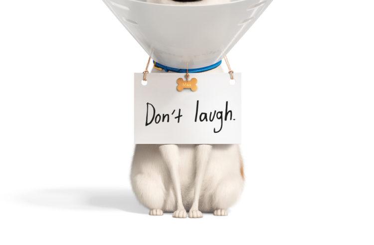 “The Secret Life of Pets 2” in UK Cinemas 27 May 2019