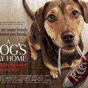 A DOG’S WAY HOME releases into UK cinemas January 25, 2019