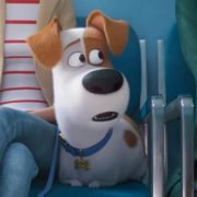 THE SECRET LIFE OF PETS 2 IN UK CINEMAS 24 MAY 2019