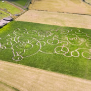 A SHAUN THE SHEEP MOVIE – DRONE CAPTURES GIANT CROP CIRCLE