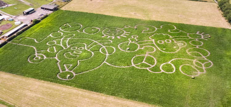 A SHAUN THE SHEEP MOVIE – DRONE CAPTURES GIANT CROP CIRCLE
