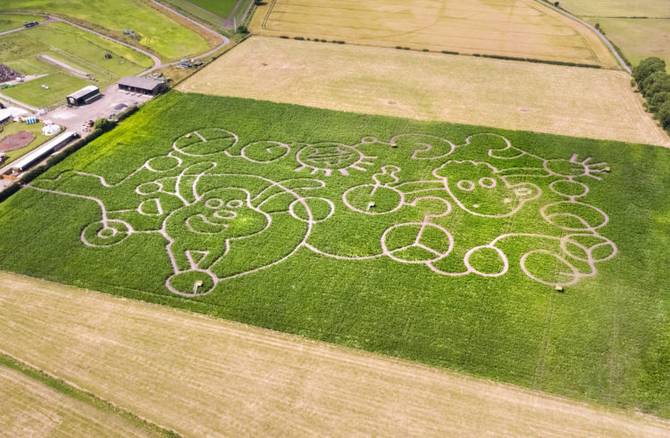 A SHAUN THE SHEEP MOVIE – DRONE CAPTURES GIANT CROP CIRCLE