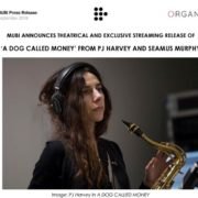 A DOG CALLED MONEY IS AVAILABLE ON MUBI AND IN UK CINEMAS ON 8 NOVEMBER 2019