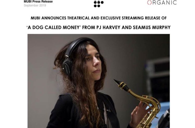 A Dog Called Money Is Available on Mubi and in UK Cinemas on 8 November 2019