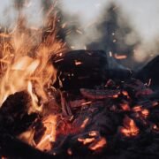 How Historically Accurate is Red Dead Redemption?