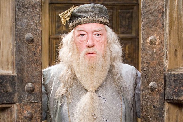 Dumbledore in harry potter and the chamber of secrets